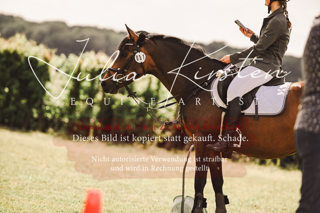 DSC_7030 | Pferde- und Turnierfotografie in Westsachsen. Pferdeportraits, Auftragszeichnungen und intuitive Kunst.