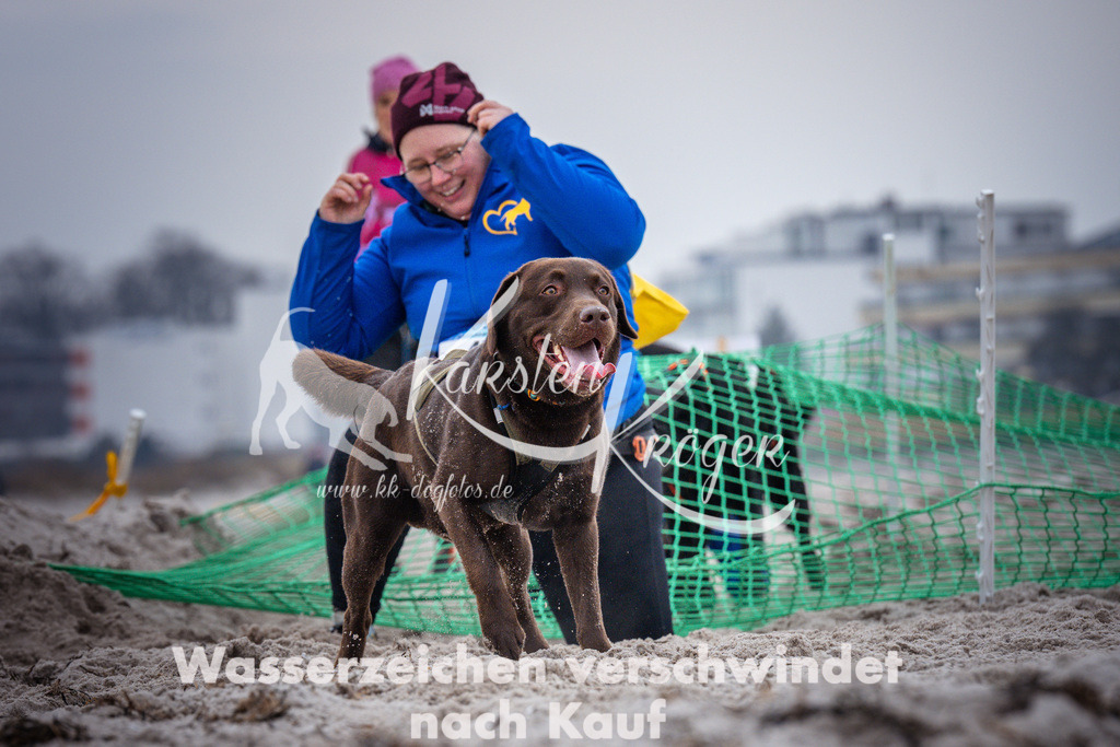 1216_ZZ93135 | kk-dogfotos