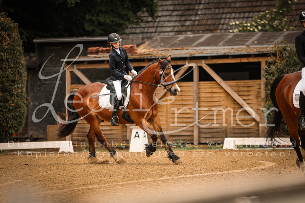 DoDrE00018 | Leoni Ertmer Photography - Realisiert mit Pictrs.com