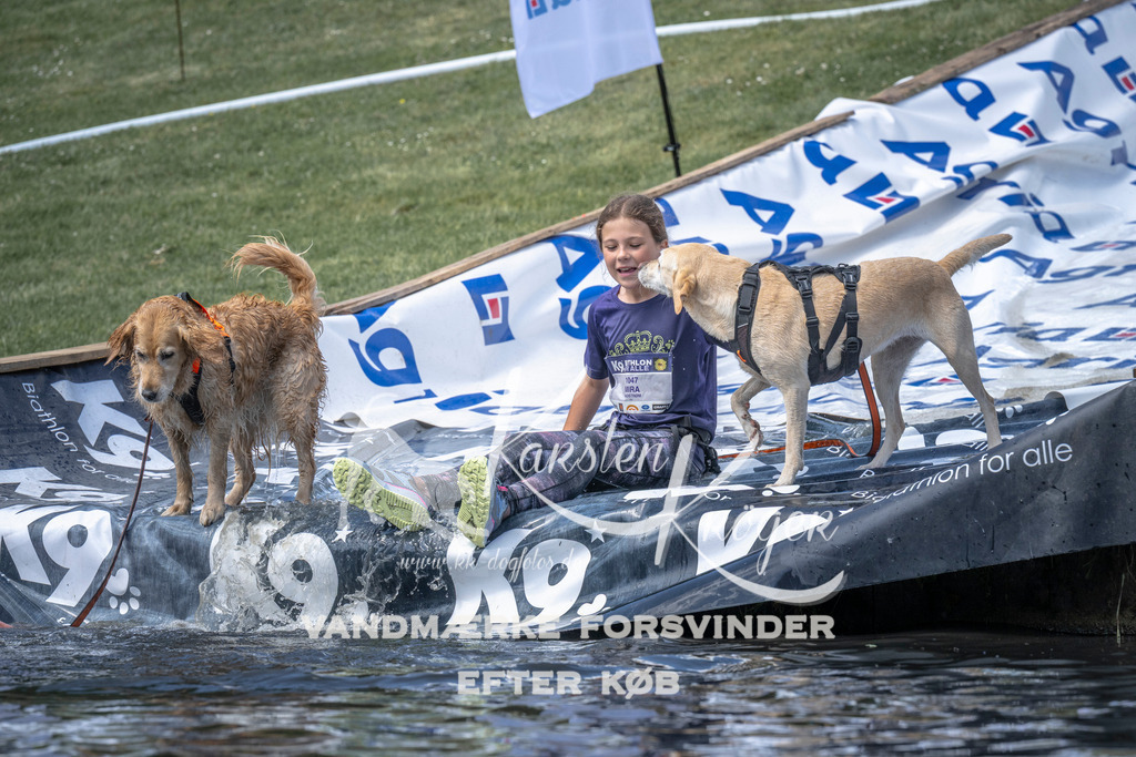 1225_ZZ97328 | kk-dogfotos