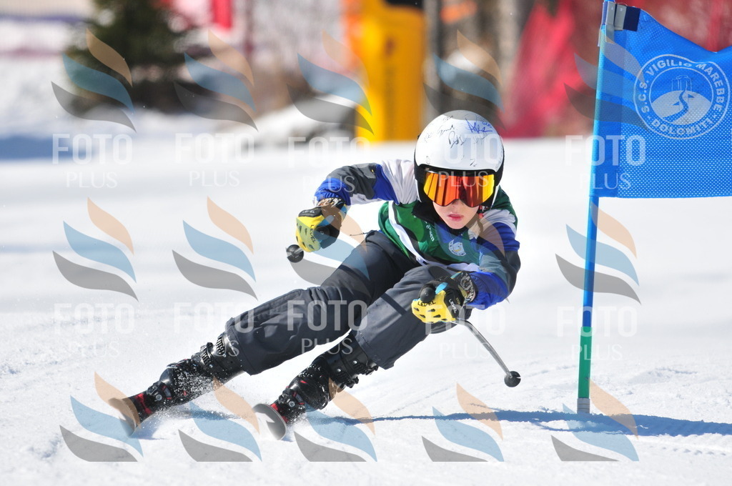 C3722 | holidayphoto