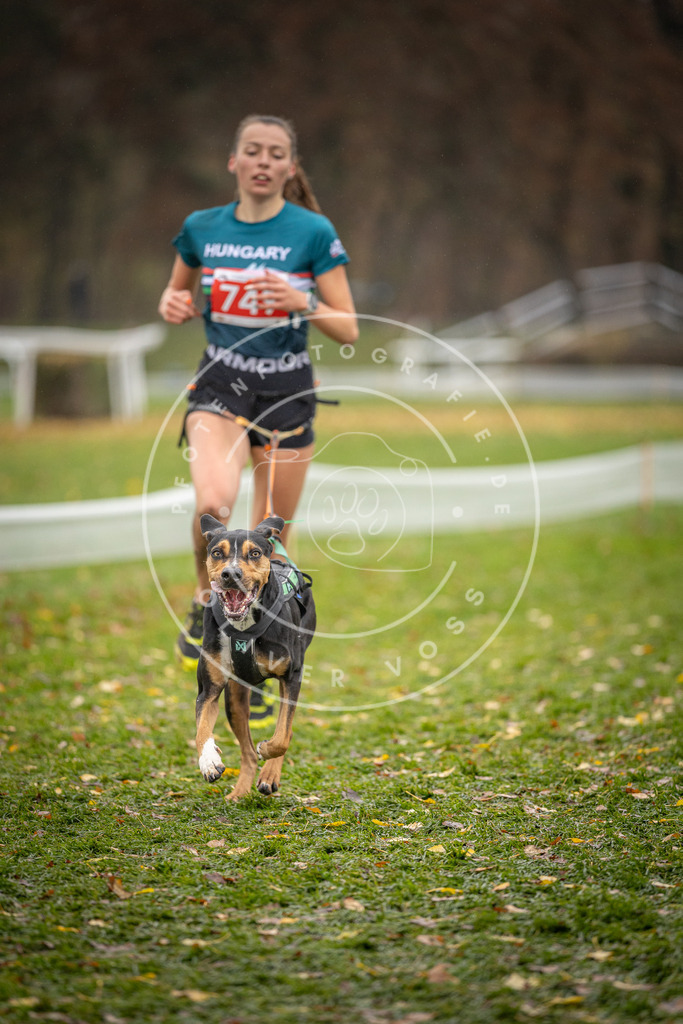 CaniXpix_DV3A9366 | Hundefotografie, Tierfotograf, Pfotenfotografie, Fotoshooting Hund, Hunde Portrait, Hundesport, Hundeportraits, Heideshooting, Hunde, Sportfotograf, Hundefotograf, Turnierhundsport, THS,  - Realisiert mit Pictrs.com