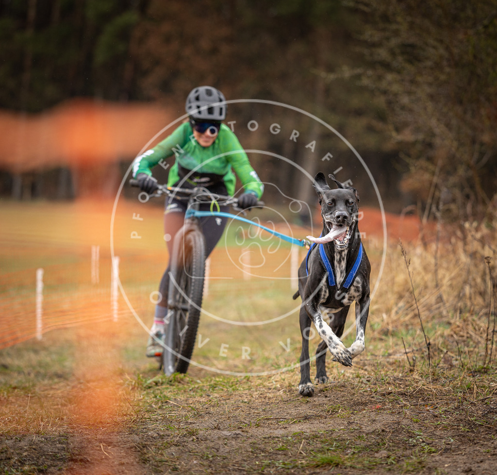 DV3A9343 | Hundefotografie, Tierfotograf, Pfotenfotografie, Fotoshooting Hund, Hunde Portrait, Hundesport, Hundeportraits, Heideshooting, Hunde, Sportfotograf, Hundefotograf, Turnierhundsport, THS,  - Realisiert mit Pictrs.com