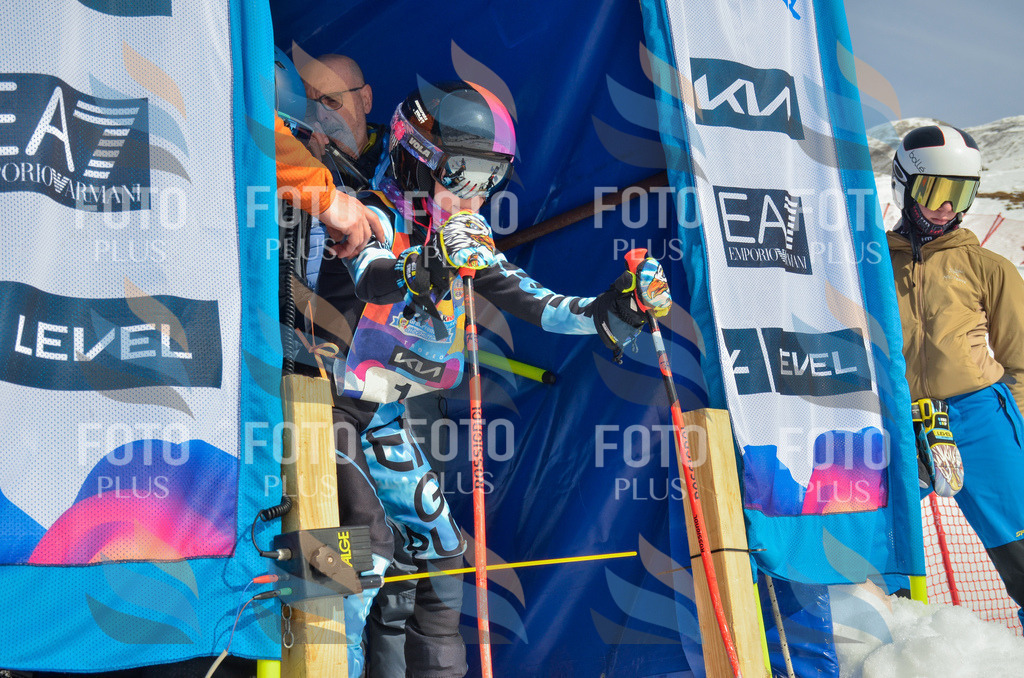 _ELE4323 | holidayphoto