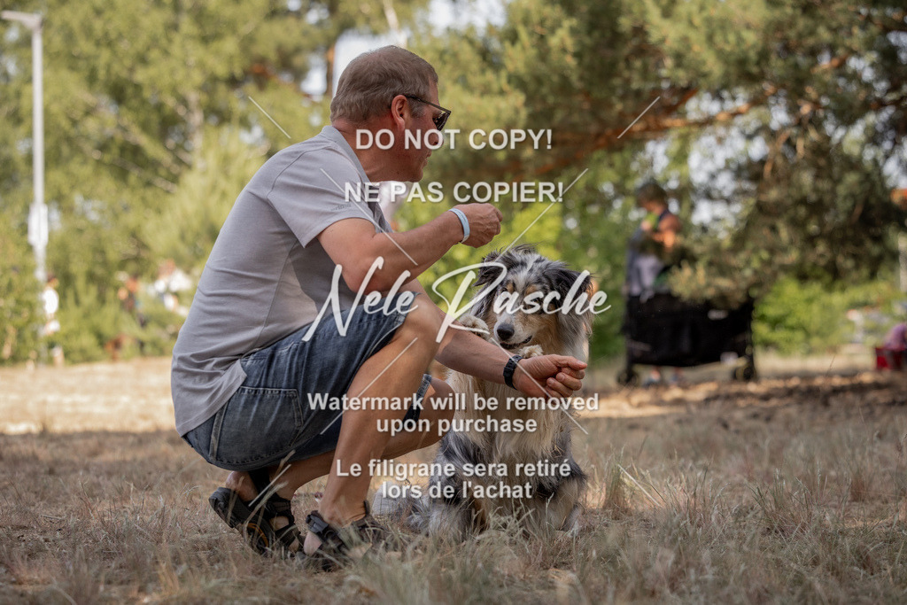 nelerasche_soDD2_109 | nelerasche