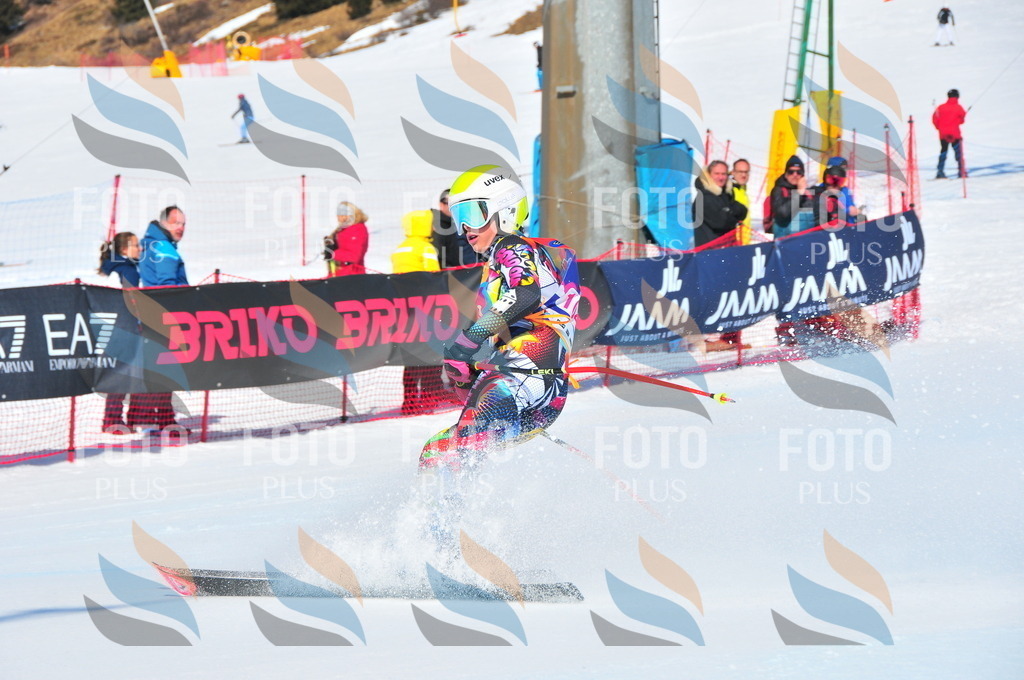 DSC_4625 | holidayphoto