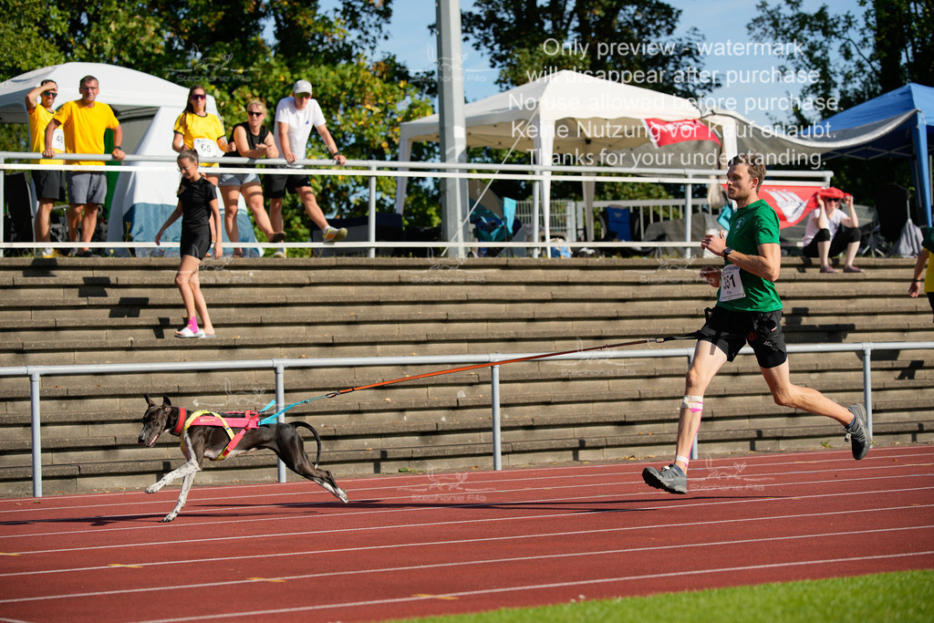 Sonntag_Staffel (199 von 336) | stephaniefillaphotographie - Realisiert mit Pictrs.com