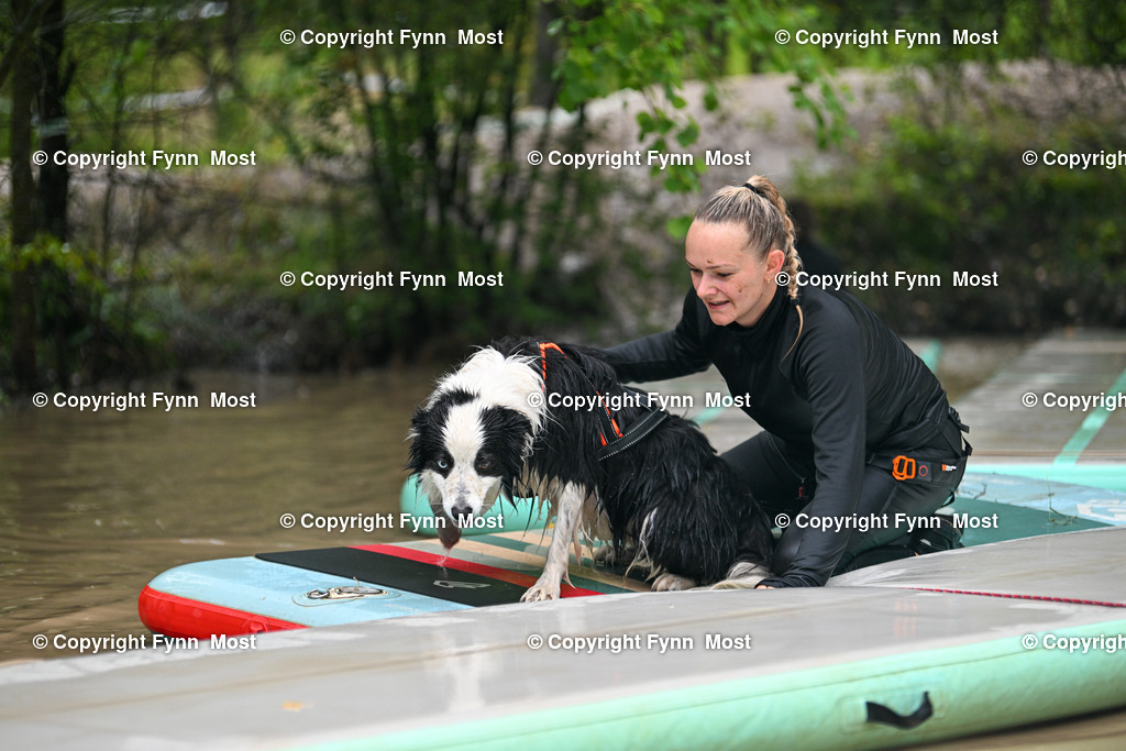 DSC_2553 | Hallo und herzlich Willkommen auf meiner Shop-Seite Fynn Most.

Ich wünsche Dir viel Spaß beim stöbern durch die Bilder, wenn Du Fragen hast oder Bilder vermisst, kannst du mir gerne eine Nachricht schreiben. - Realisiert mit Pictrs.com