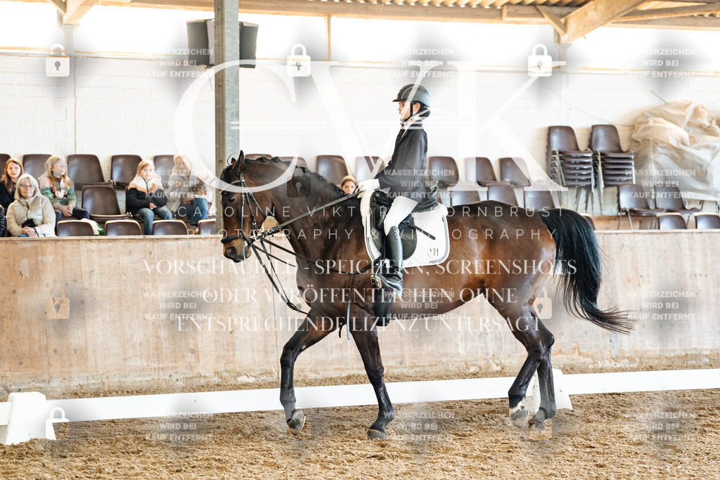 CK900573 | Turnierfotografie Pferdefotografie Trier Rheinland-Pfalz Pferdesport Reitsport Tierfotografie Sportfotografie Pferdevideo Pferdevideografie Equestrianvideography equestrianphotography  - Realized with Pictrs.com