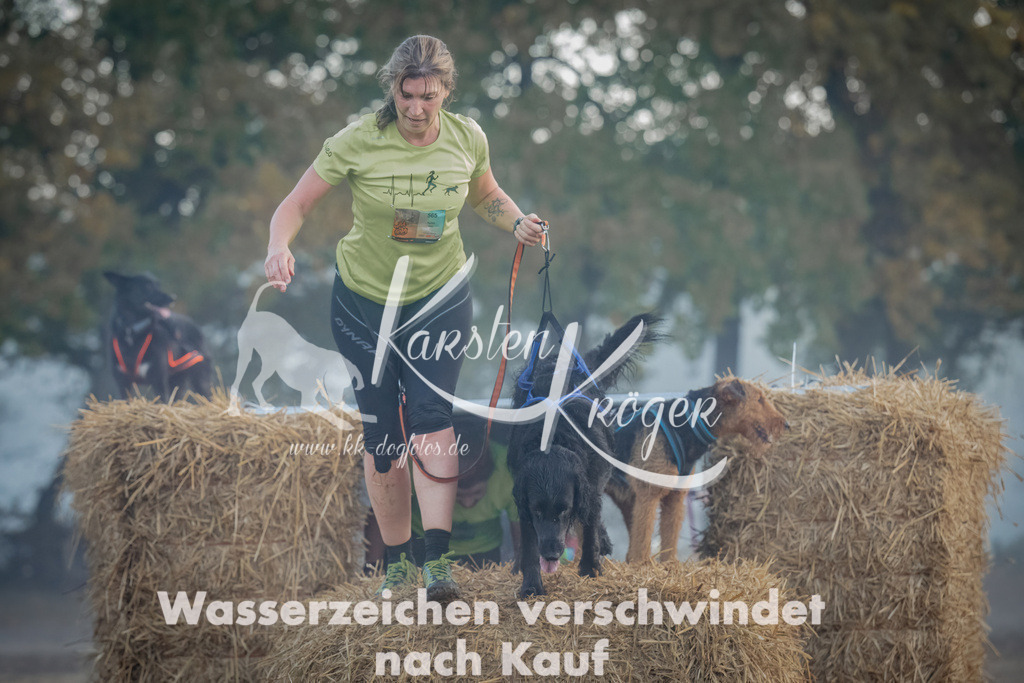 0828_ZZ97891 | kk-dogfotos