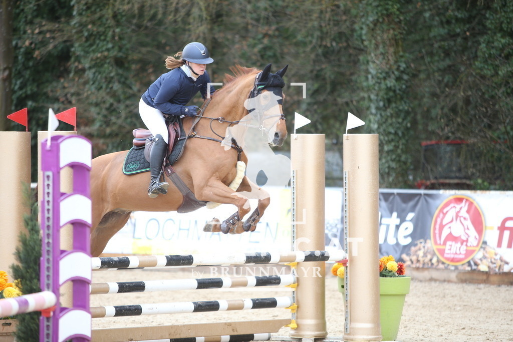 AS8V9983 | Willkommen bei Brunnmayr - Design & Fotografie – Ihrem Spezialisten für Reitturniere und Pferdeveranstaltungen in Oberösterreich, Salzburg und Bayern! Seit über 17 Jahren sind wir leidenschaftlich dabei.