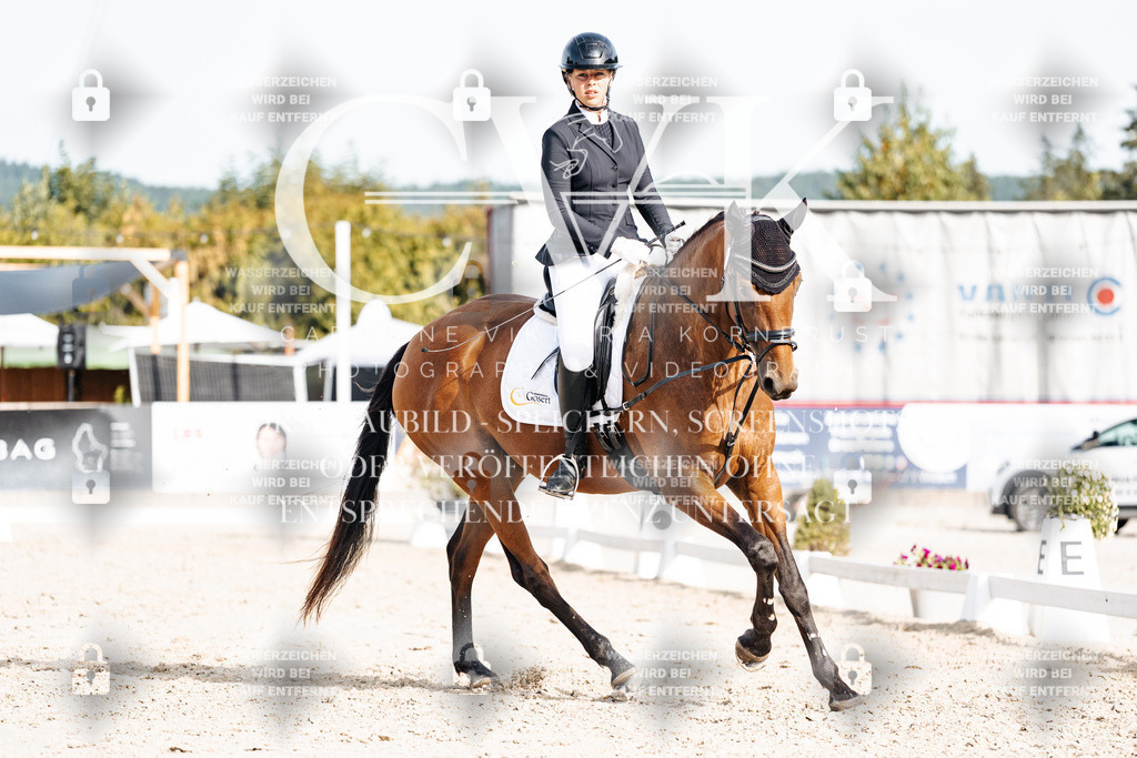 CK904923 | Turnierfotografie Pferdefotografie Trier Rheinland-Pfalz Pferdesport Reitsport Tierfotografie Sportfotografie Pferdevideo Pferdevideografie Equestrianvideography equestrianphotography  - Realisiert mit Pictrs.com