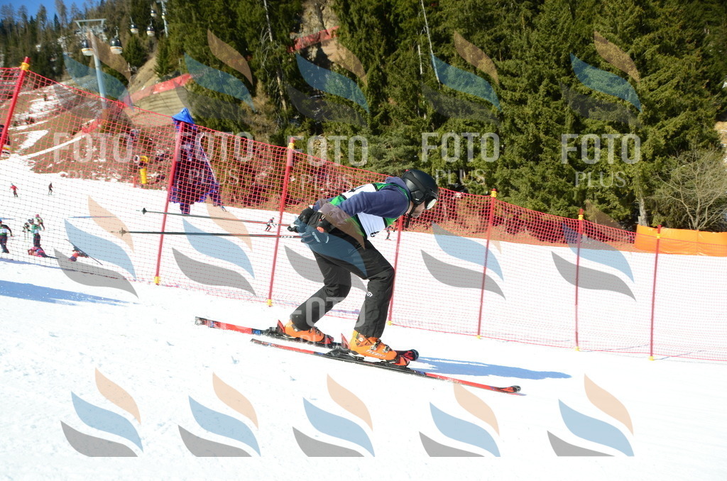 C6668 | holidayphoto