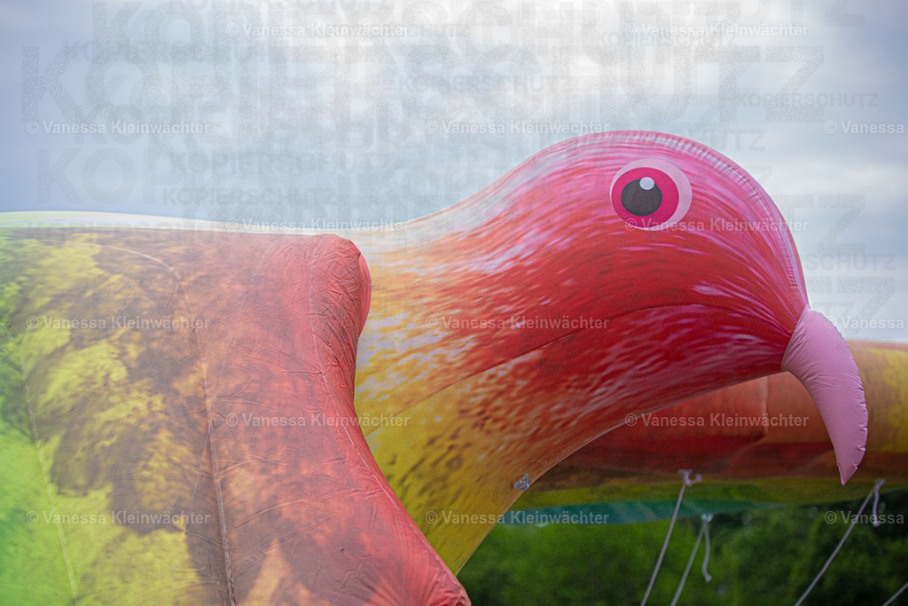 220517_IDAHOBITA_GruFueA-8 | Vanessa Kleinwächter - Realisiert mit Pictrs.com