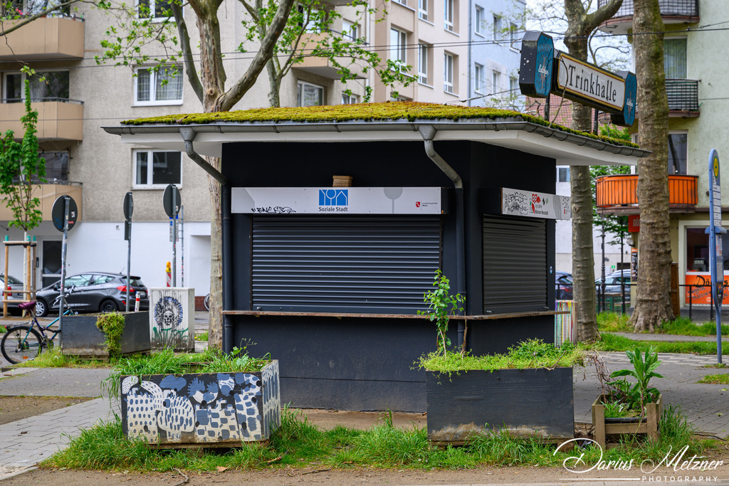 Mainzer Neustadt | Bilder aus der Mainzer Neustadt