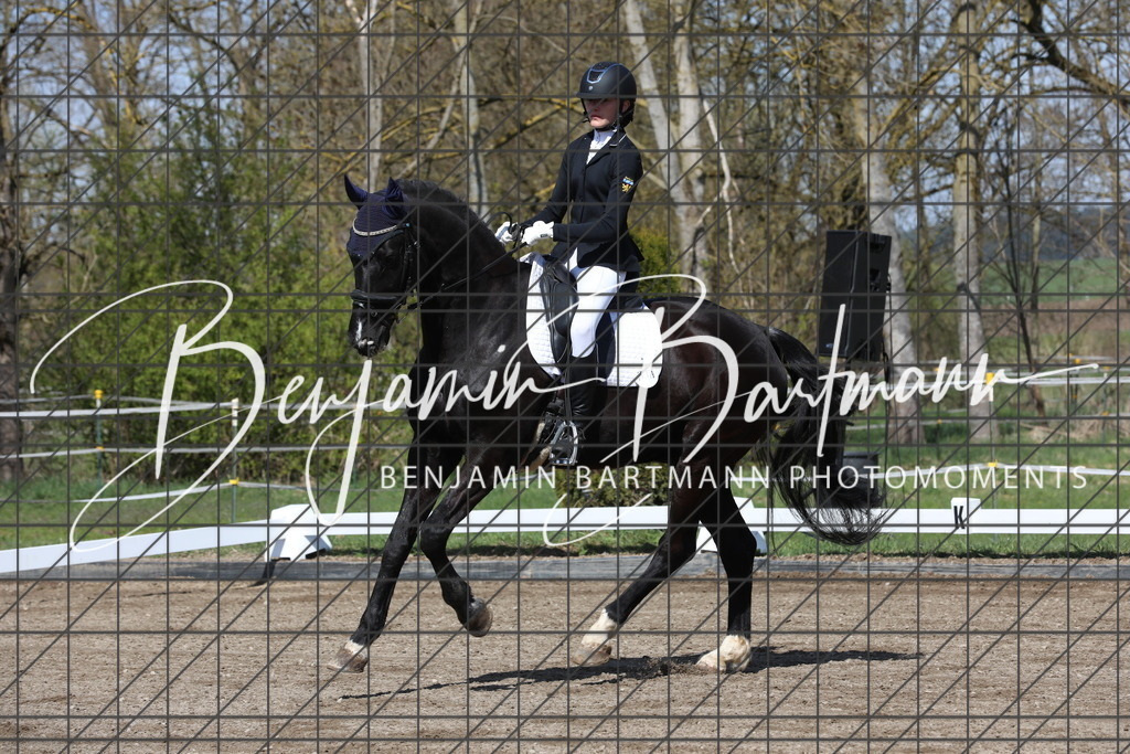 AZ2A4597 | Benjamin Bartmann Photomoments