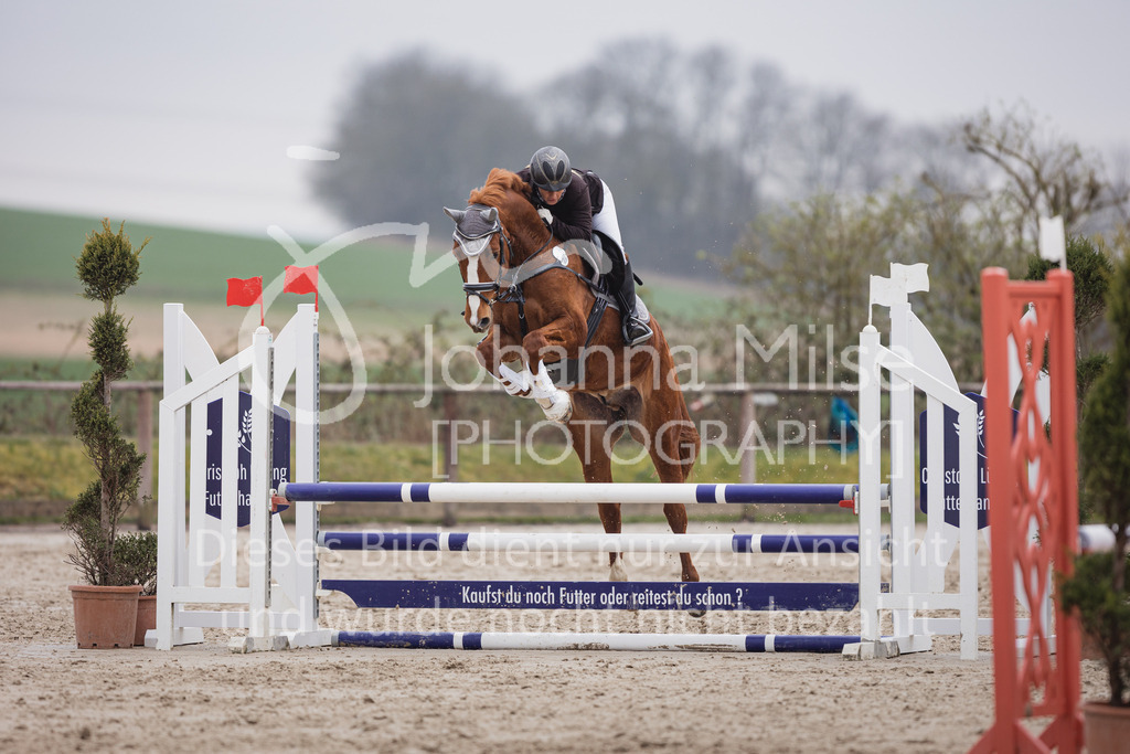 230408_Frühlingsfest_Stil-A1Ü30-528 | Deine schönsten Turniermomente als professionelle Fotos! Entdecke hochwertige Pferdesport-Fotografie im Online-Shop. Jetzt Fotos finden & bestellen!