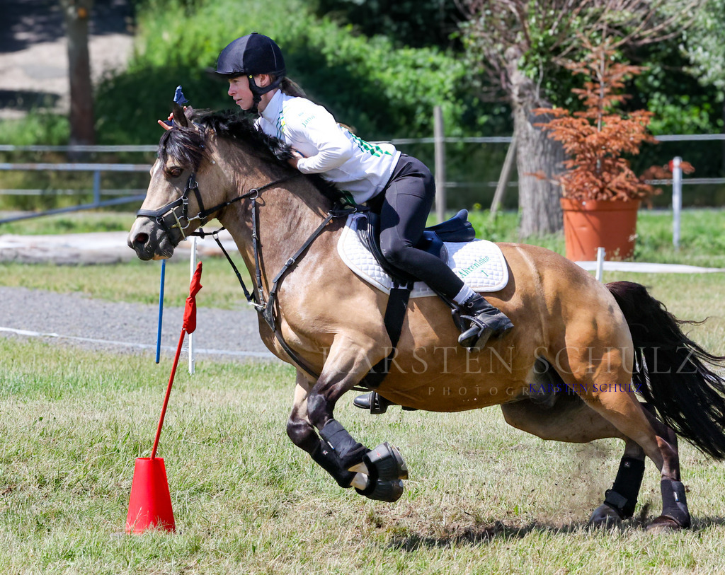 IMG_1586 | Reitsport Reiten