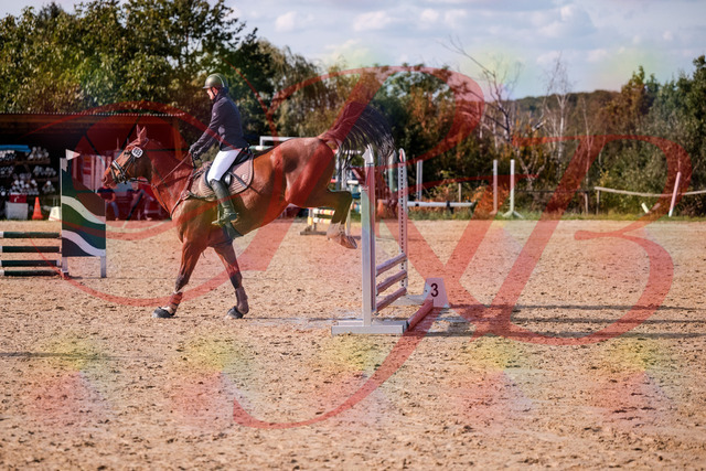 2026_10_03_Siefer-Hof_155552_Z81_75141580 | Professionelle Reitsport-, Turnier- und Eventfotografie von Robert Broda. Galerien mit ausgewählten und bearbeiteten Bildern direkt online ansehen und bestellen.