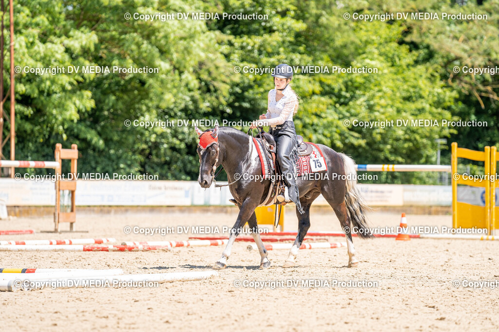 Zeiskam Tag 2-1236 | dv-media-shop - Realisiert mit Pictrs.com