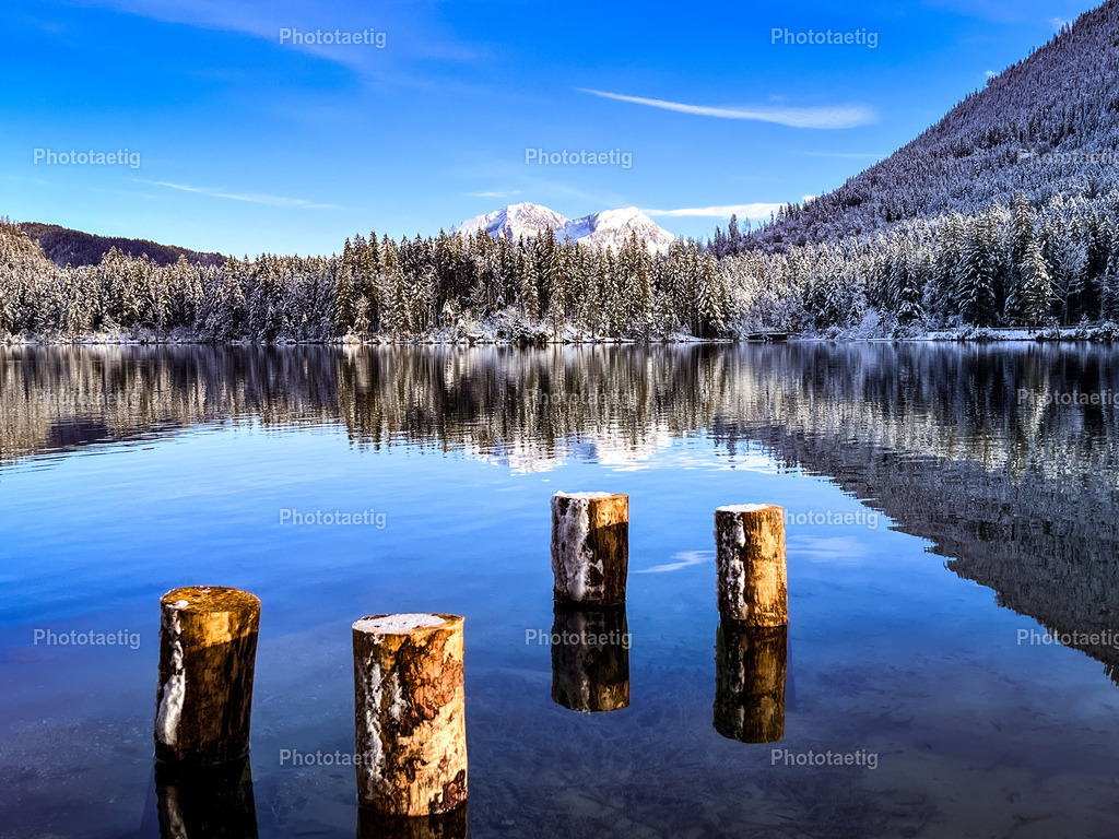 IMG_6428 | phototaetig