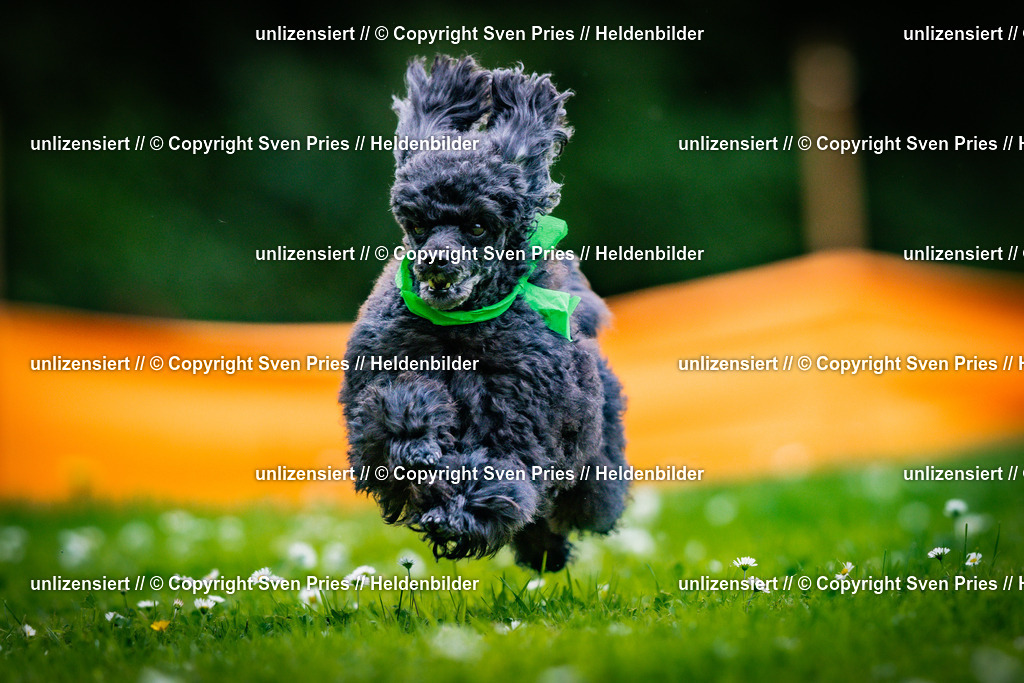 Sven Pries | 2025-05-29 - Pudelrennen KA-Durlach - Realisiert mit Pictrs.com