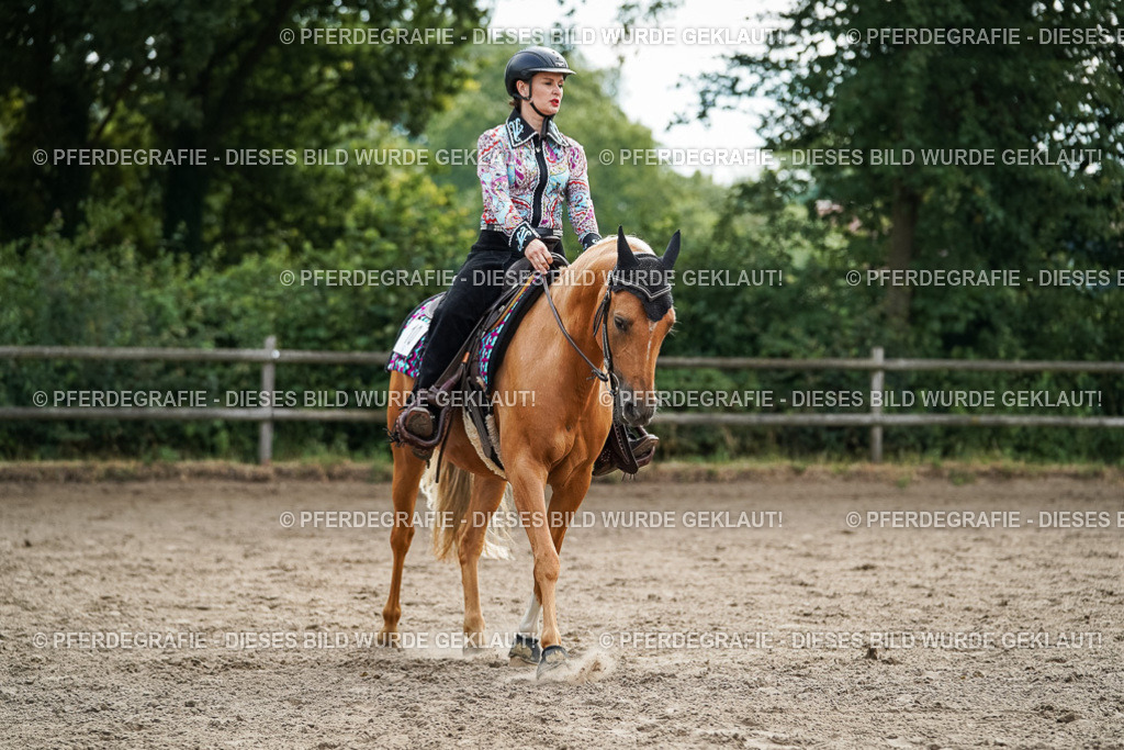 DSC03507 | Pferdegrafie