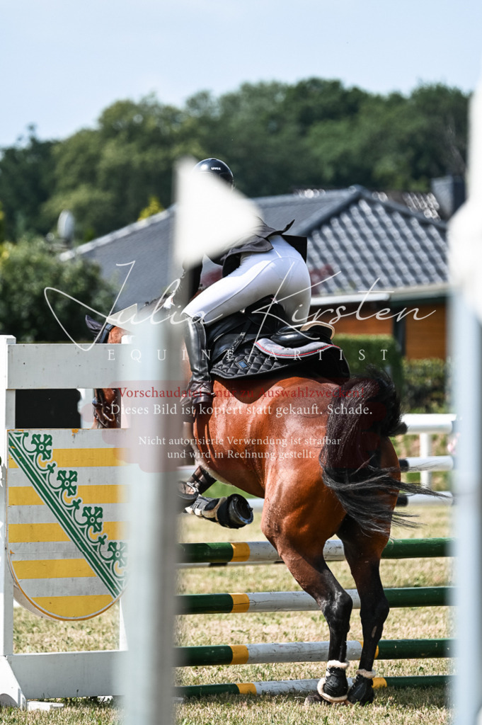 DSC_9433 | Pferde- und Turnierfotografie in Westsachsen. Pferdeportraits, Auftragszeichnungen und intuitive Kunst.