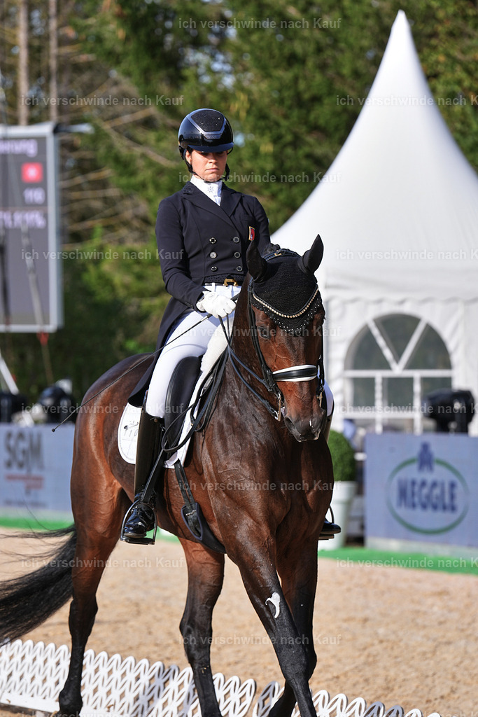 13-110-S___ -Marixx-7039 | working equitationturnier fotograf videograf stoibphotography marixx film working equitation deutschland reitsport turnierfotografie eventfotografie equestrian events
