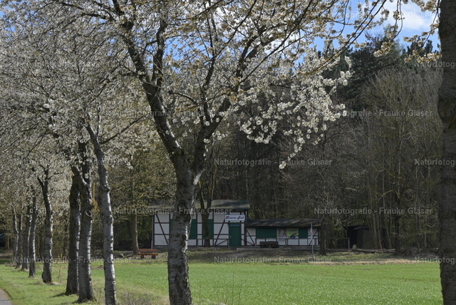 DSC_7076 | Naturfotografie Frauke Gläser - Realisiert mit Pictrs.com