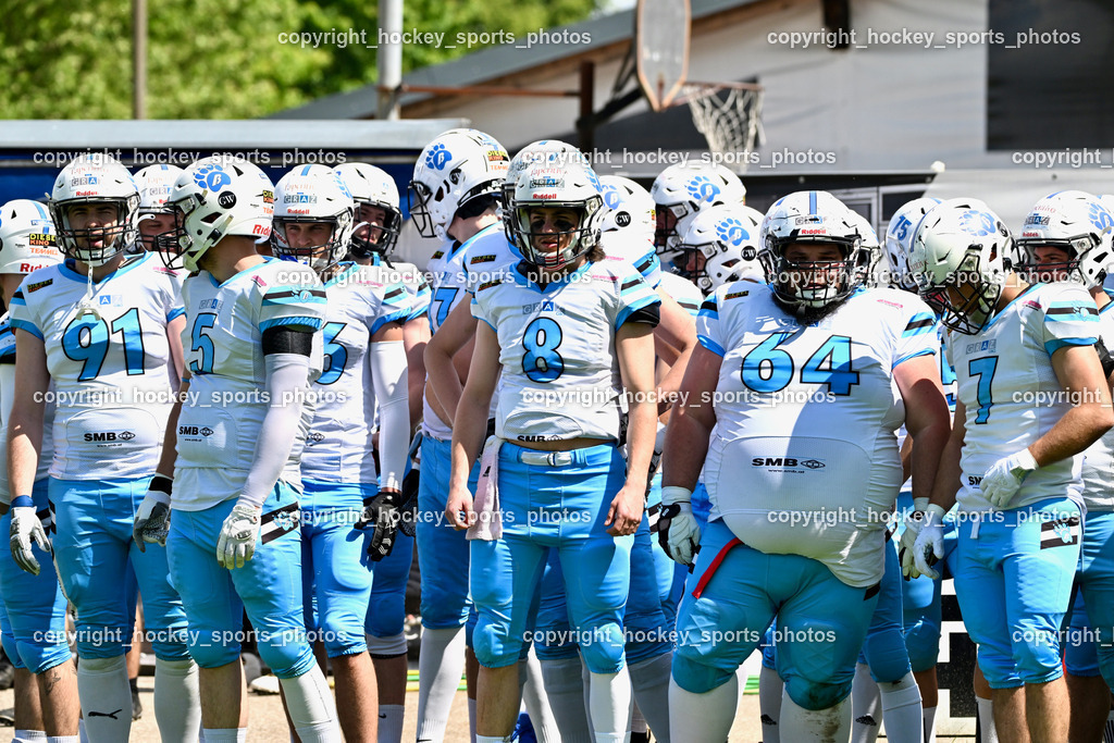 Carinthian Lions vs. Styrian Bears | Carinthian Lions vs. Styrian Bears, Carinthian Lions vs. Styrian Bears am 20.05.2024 in Klagenfurt (ASV Sportplatz), Austria, (Photo by Bernd Stefan)