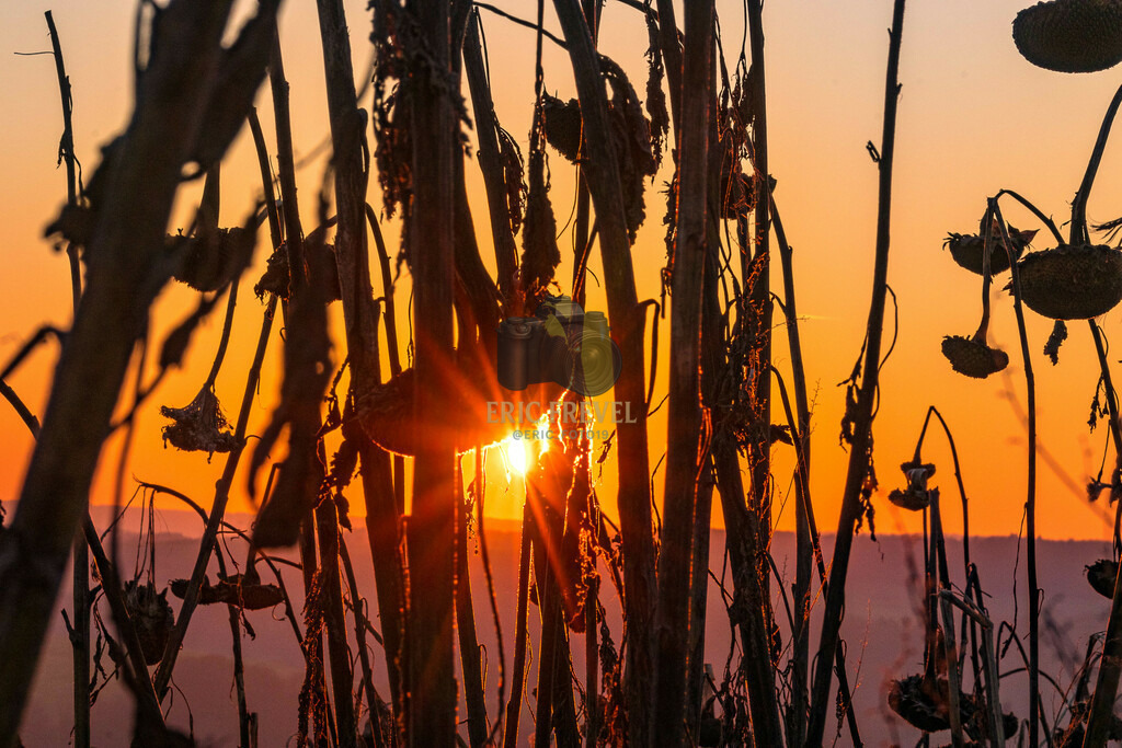 IMG_8535 | Photography by Eric Frevel - Realisiert mit Pictrs.com