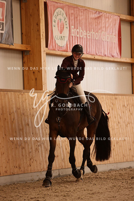 1J2A3033Leonie Ulrich_ Campino M 5_ Kn058_ Hohen Wieschendorf_ Glantz | Foto- und Videografie für alles rund ums Pferd. Hochwertige Bilder und Videos vom Spring- und Dressurreiten, Voltigieren & mehr. Jetzt aktuelle Veranstaltungen und Preise im Shop ansehen. - Realisiert mit Pictrs.com