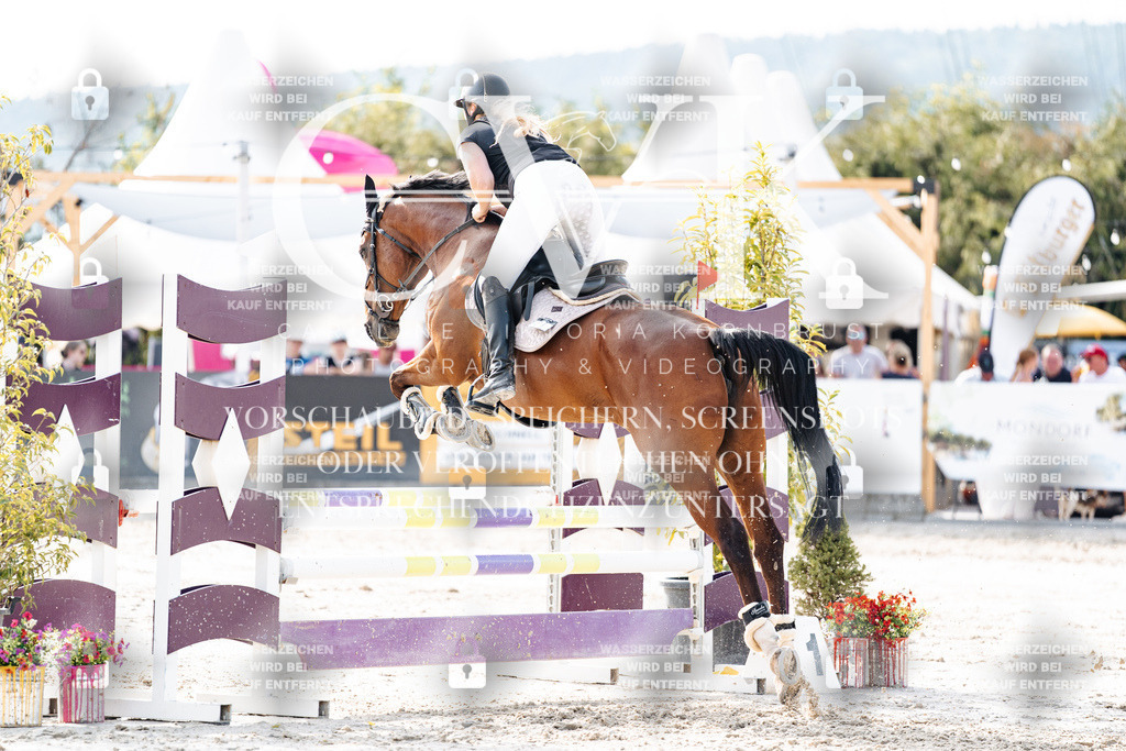 CK906090 | Turnierfotografie Pferdefotografie Trier Rheinland-Pfalz Pferdesport Reitsport Tierfotografie Sportfotografie Pferdevideo Pferdevideografie Equestrianvideography equestrianphotography  - Realisiert mit Pictrs.com