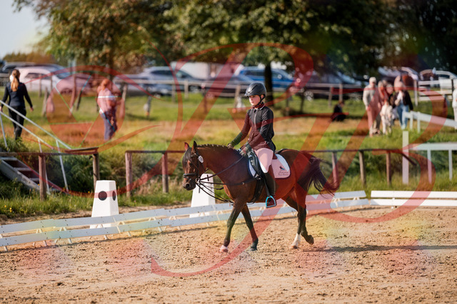 2026_10_03_Siefer-Hof_120532_Z63_36105866 | Professionelle Reitsport-, Turnier- und Eventfotografie von Robert Broda. Galerien mit ausgewählten und bearbeiteten Bildern direkt online ansehen und bestellen.
