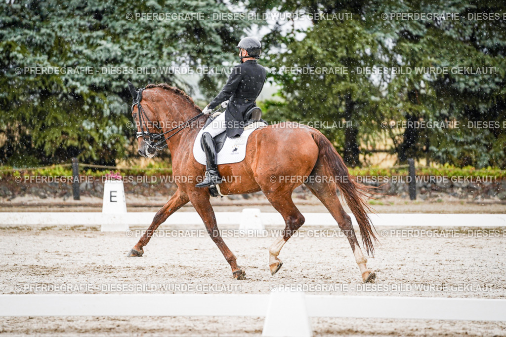 DSC09051 | Pferdegrafie