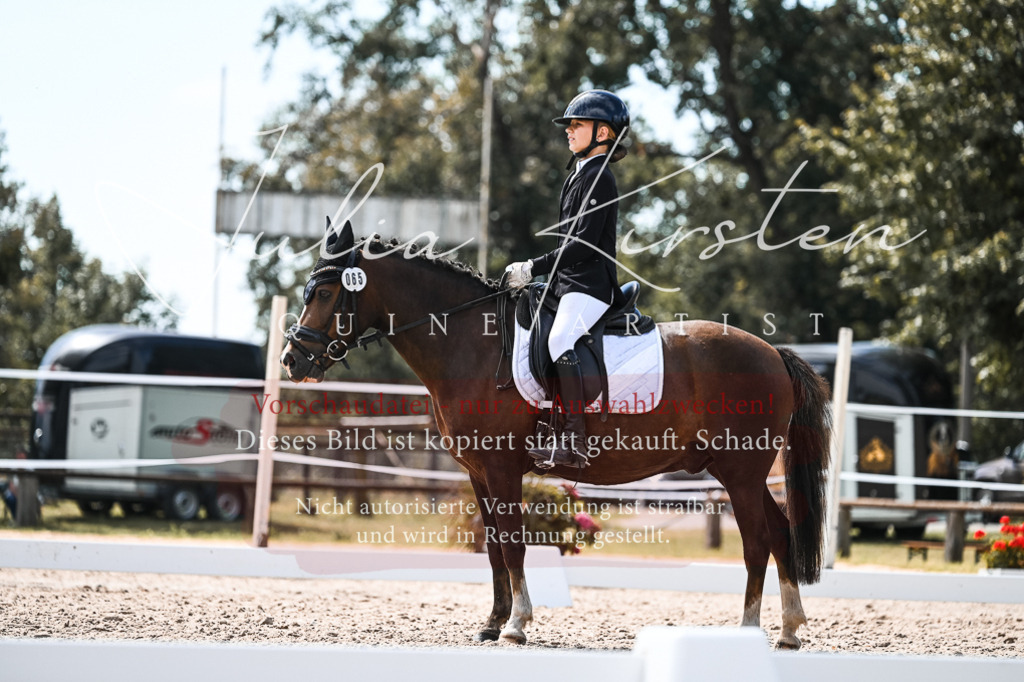 DSC_5738 | Pferde- und Turnierfotografie in Westsachsen. Pferdeportraits, Auftragszeichnungen und intuitive Kunst.
