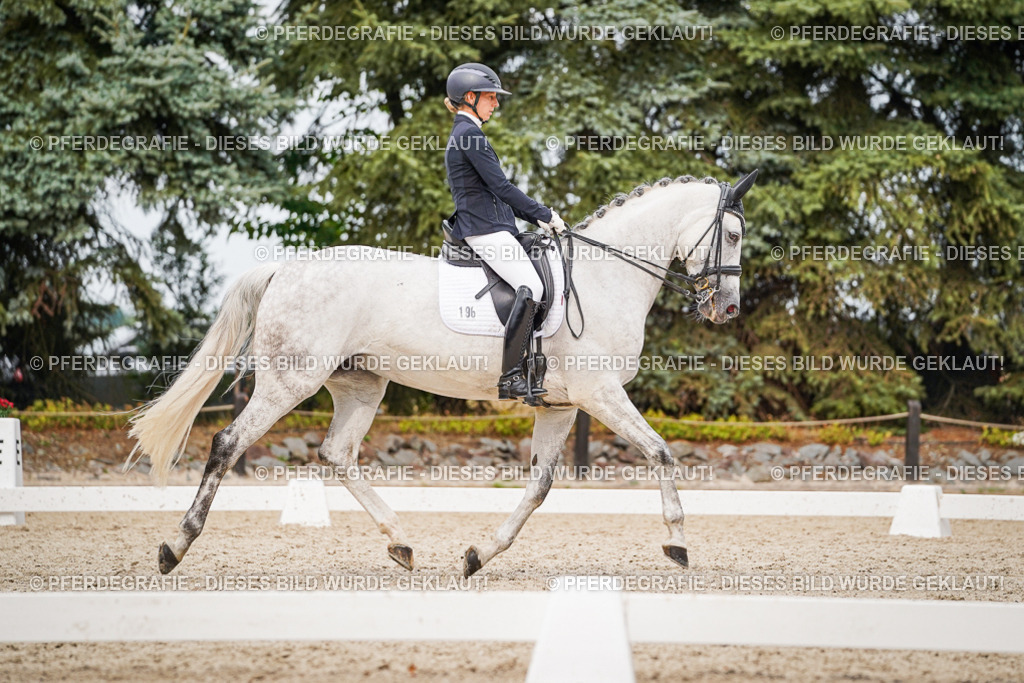 DSC07720 | Pferdegrafie