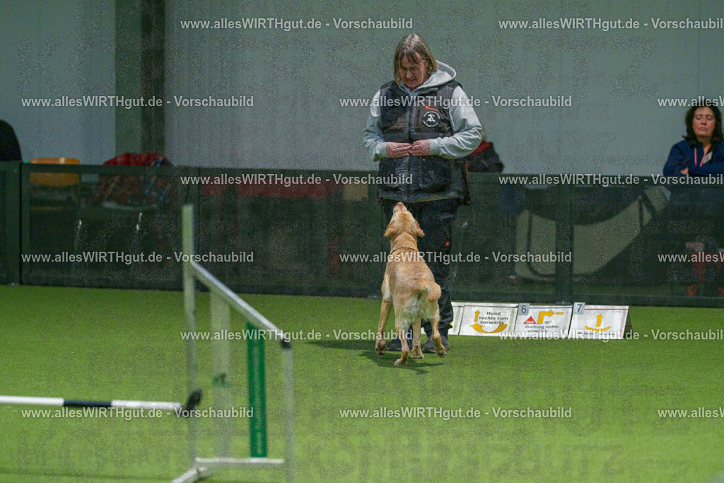 7R504582 | Professionelle Tierfotografie in Mönchengladbach von Daniel Wirth (allesWIRTHgut). Liebevolle & natürliche Bilder von Hunden & Katzen für unvergessliche Erinnerungen.