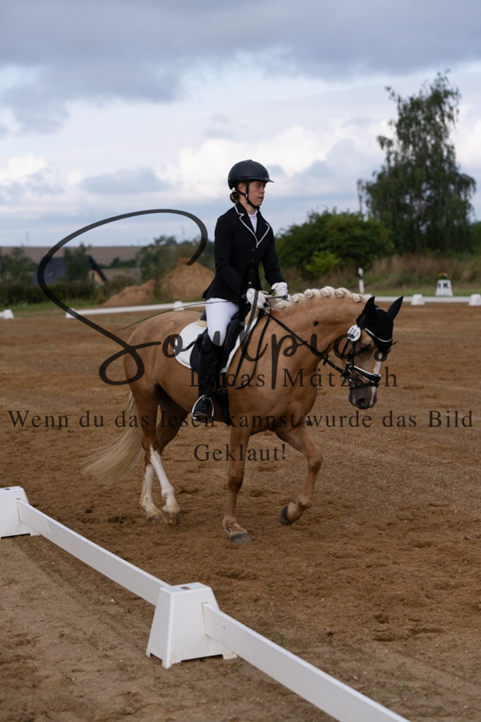 A7V03777 | Turnier/Reitfotograf
