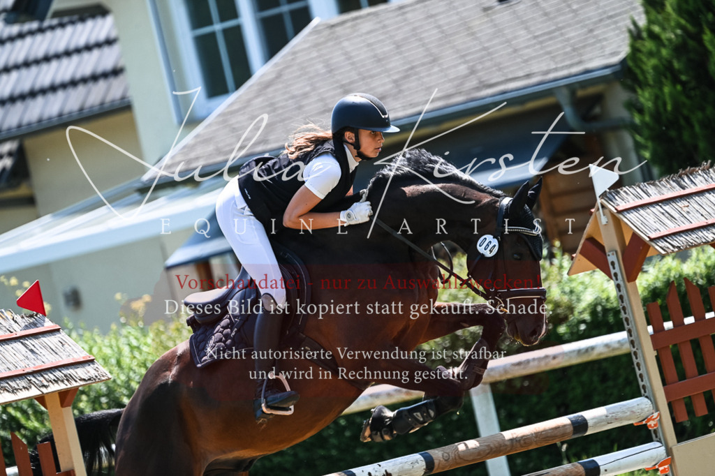 DSC_0002 | Pferde- und Turnierfotografie in Westsachsen. Pferdeportraits, Auftragszeichnungen und intuitive Kunst.