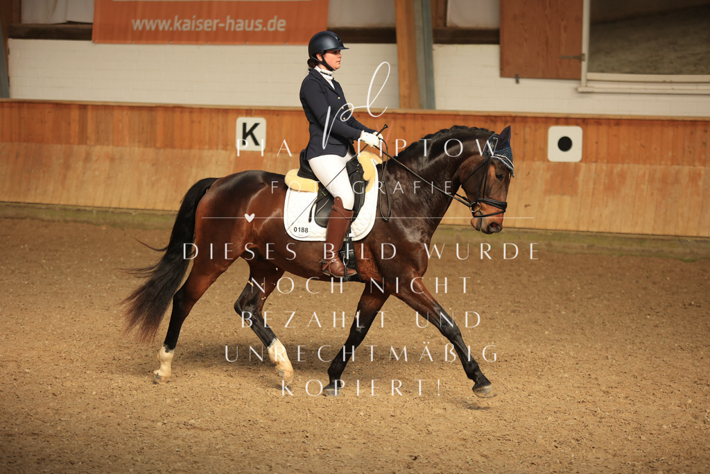 IMGT4810 | pl-fotografie