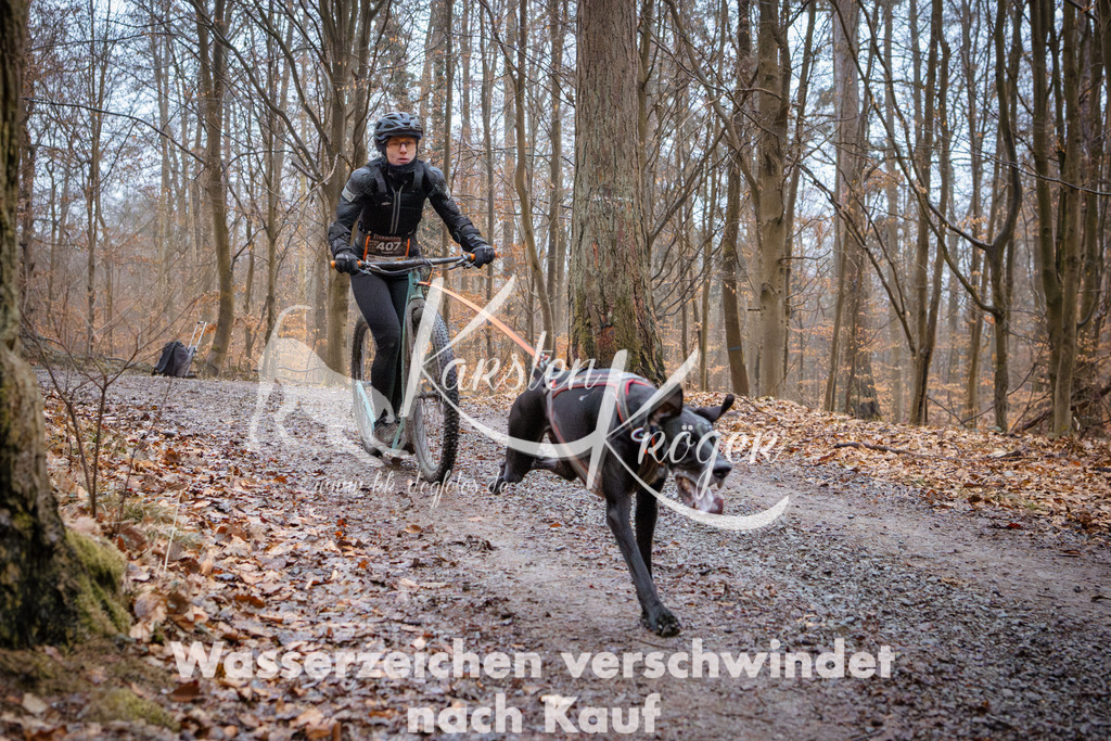 0843_ZZ94750 | kk-dogfotos