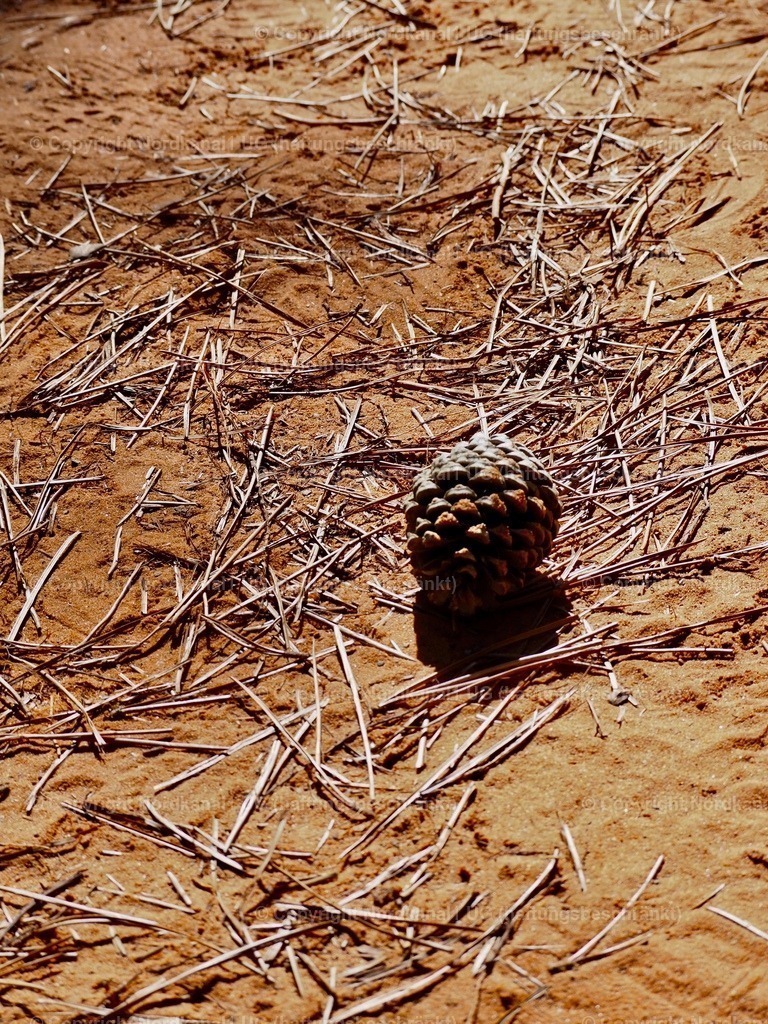 IMG_2941 | OLYMPUS DIGITAL CAMERA          - Realisiert mit Pictrs.com