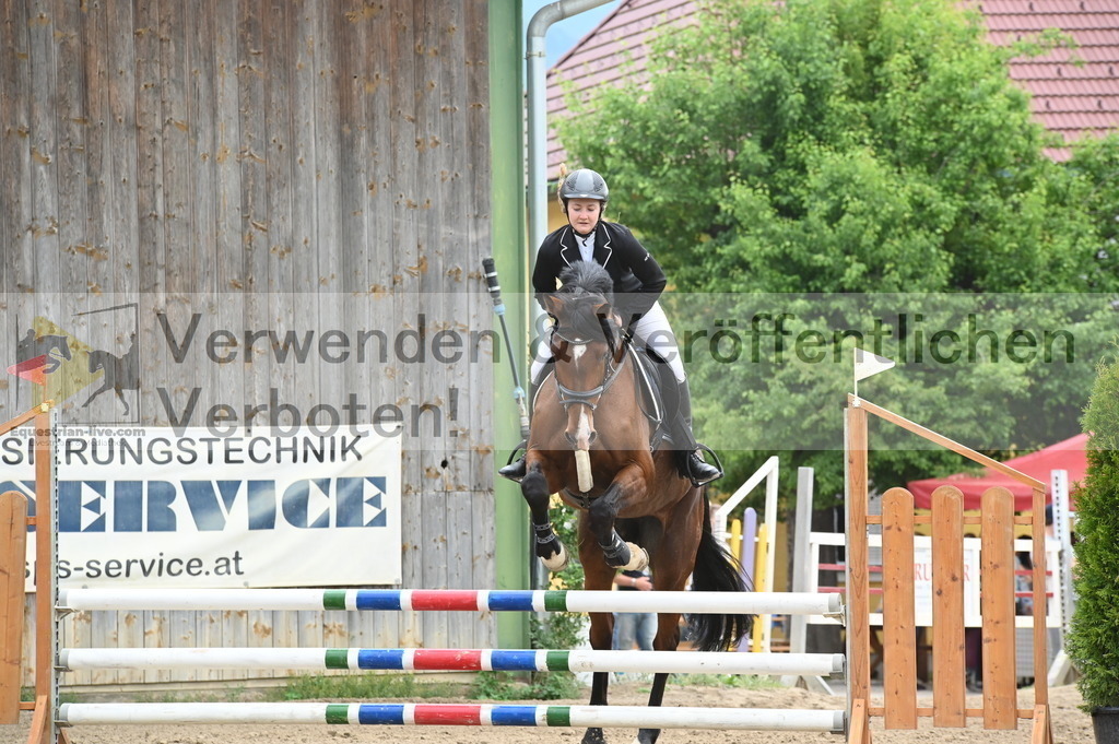 DSC_8129 | equestrian-live-com