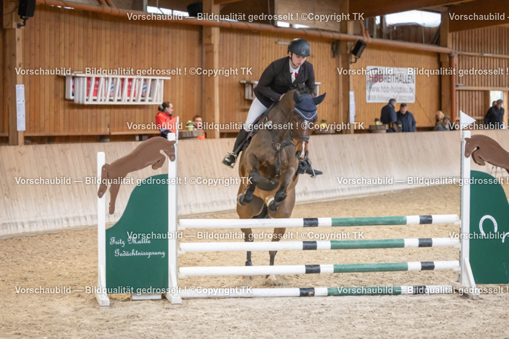 _D5A7131 | Emotionale Pferde- & People-Fotografie rund um Heidelberg, Leimen & Umgebung. Natürliche Fotos von Pferd, Mensch & Familie. Jetzt Termin sichern!