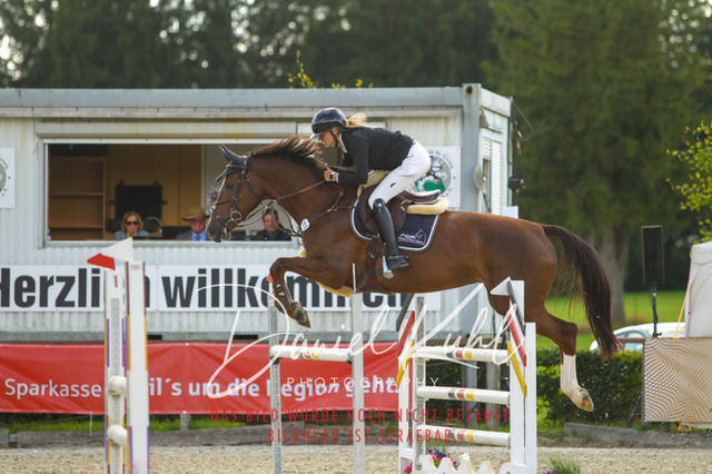 DKP43849 | Turniersportfotografie; Pferdefotografie; Dressurfotografie