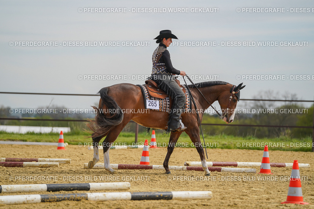 DSC03935 | Pferdegrafie