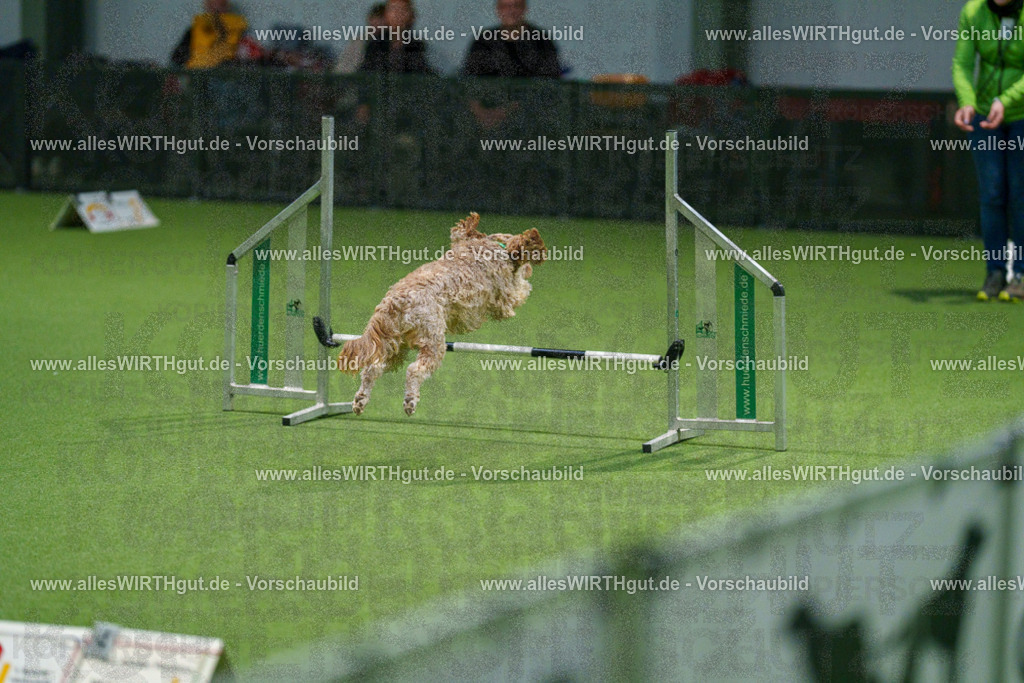 7R504487 | Professionelle Tierfotografie in Mönchengladbach von Daniel Wirth (allesWIRTHgut). Liebevolle & natürliche Bilder von Hunden & Katzen für unvergessliche Erinnerungen.