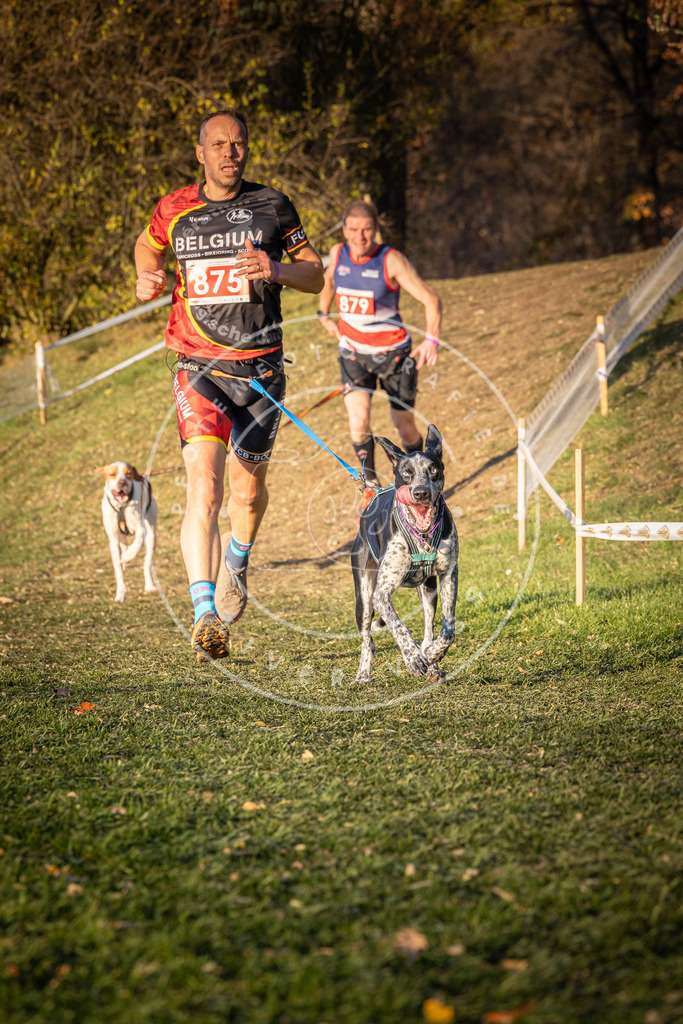 CaniXpix_0L8A1116 | Hundefotografie, Tierfotograf, Pfotenfotografie, Fotoshooting Hund, Hunde Portrait, Hundesport, Hundeportraits, Heideshooting, Hunde, Sportfotograf, Hundefotograf, Turnierhundsport, THS,  - Realisiert mit Pictrs.com